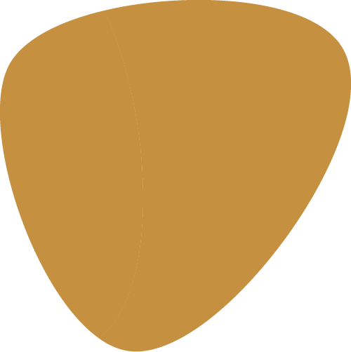 triangle-moutarde@500x